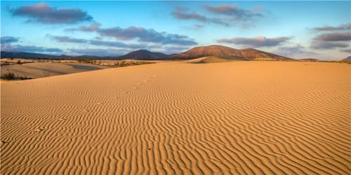 MIRRORANG 76x30cm Sonne und Wüste Terrarium Hintergrund Blauer Himmel Wüste Reptilien Lebensraum Hintergrund Langlebig Vinyl Hintergrund von MIRRORANG