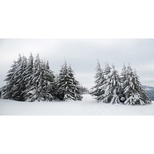 MIRRORANG 76x30cm Weißer Aquarium Hintergrund mit verschneiter Landschaft für Neujahrs und Weihnachtsdekor, Winter, schneebedeckte Bäume, Wald, Aquarium Hintergrund, Vinyl von MIRRORANG