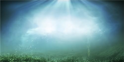 MIRRORANG 76x46cm Aquarium Hintergrund Wasserpflanze Unterwasser Ozean Boden Fisch Tank Hintergrund Langlebig Vinyl Hintergrund von MIRRORANG