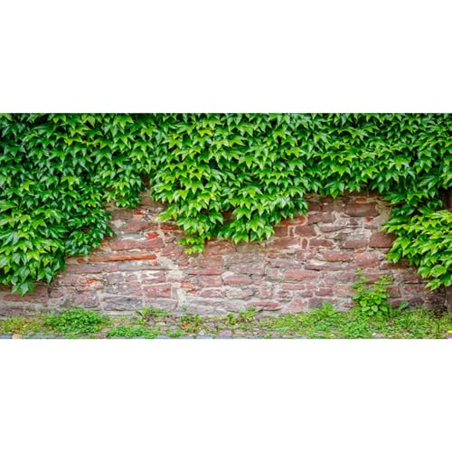 MIRRORANG 76x46cm Backsteinmauer Reptilien Terrarium Aquarium Hintergrund Rustikale Blätter Aquarium Hintergrund Bartagame Vivarium Hintergrund Vinyl MIRRORANG 76x46cm Backsteinmauer Reptilien Terrarium Aquarium Hintergrund Rustikale Blätter Aquarium Hintergrund Bartagame Vivarium Hintergrund Vinyl von MIRRORANG