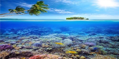 MIRRORANG 76x46cm Unterwasser-Thema Aquarium Hintergrund Bunte Koralle Tropische Fische Kokosnuss Baum Unterwasserwelt Aquarium Hintergrund Langlebig Vinyl Hintergrund von MIRRORANG