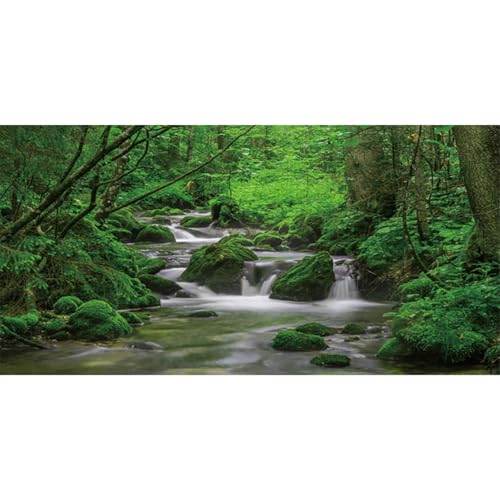MIRRORANG 76x46cm Wald Bach Reptil Terrarium Aquarium Hintergrund üppig Grün Wasser natürliche Landschaft Fisch Tank Hintergrund Bartagame Vivarium Hintergrund Vinyl MIRRORANG 76x46cm Wald Bach Reptil Terrarium Aquarium Hintergrund üppig Grün Wasser natürliche Landschaft Fisch Tank Hintergrund Bartagame Vivarium Hintergrund Vinyl von MIRRORANG
