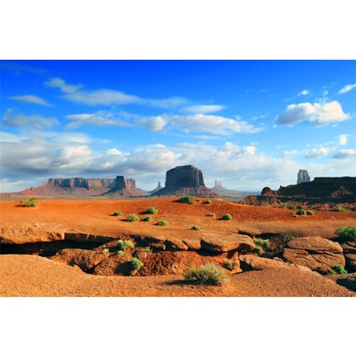 MIRRORANG 91x41cm Reptilien Lebensraum Hintergrund Orange Wüste Berge Blauer Himmel Terrarium Hintergrund Bartagame Vivarium Hintergrund von MIRRORANG