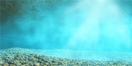 MIRRORANG 91x41cm Unterwasser-Thema Aquarium Hintergrund Stein Tropischer Sonnenschein Unterwasserwelt Aquarium Hintergrund von MIRRORANG