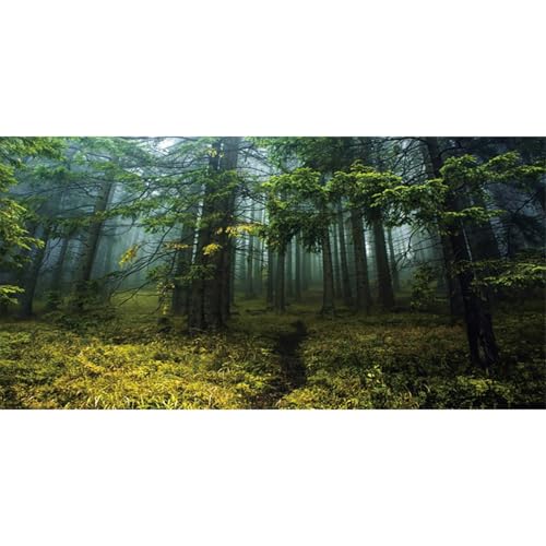 MIRRORANG 91x50cm Neblige Kiefer Wald Reptilien Terrarium Aquarium Hintergrund Dichtes Waldgebiet in Nebel gehüllt Aquarium Hintergrund Bartagame Vivarium Hintergrund Vinyl von MIRRORANG