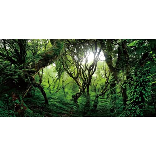 MIRRORANG 91x50cm Tropischer Dschungel Terrarium Hintergrund Grüne Zweige Reptilien Lebensraum Hintergrund Regenwald Aquarium Hintergrund Aquarium Hintergrund MIRRORANG 91x50cm Tropischer Dschungel Terrarium Hintergrund Grüne Zweige Reptilien Lebensraum Hintergrund Regenwald Aquarium Hintergrund Aquarium Hintergrund von MIRRORANG