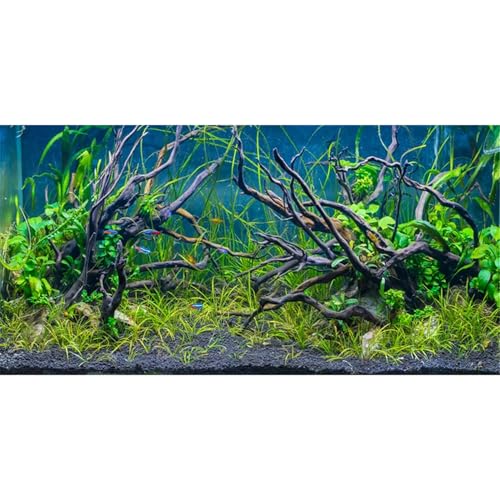 MIRRORANG 91x50cm Tropisches Aquarium Hintergrund Flussbett & See Wasserpflanze Unterwasser Baumzweig Aquarium Hintergrund Vinyl von MIRRORANG