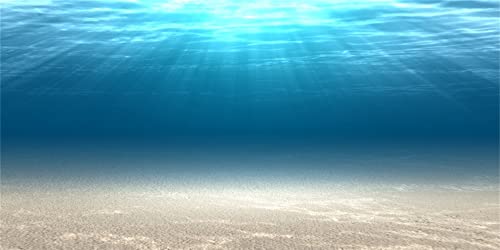 MIRRORANG 91x50cm Unterwasser-Thema Aquarium Hintergrund Sonnenschein Sand Ozean Unterwasserwelt Aquarium Hintergrund von MIRRORANG