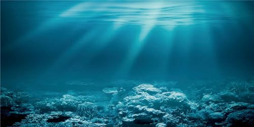 MIRRORANG 91x50cm Unterwasser-Thema Aquarium Hintergrund Sonnenschein Unterwasserwelt Aquarium Poster Hintergrund Vinyl Hintergrund von MIRRORANG