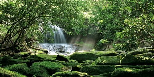MIRRORANG 91x50cm Wald Terrarium Hintergrund Tropischer Regenwald Reptilien Lebensraum Hintergrund Stein Sonniger Wasserfall Aquarium Hintergrund Vinyl von MIRRORANG