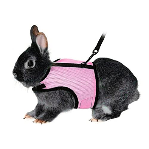 Bunny Harness Strap Bunny Harness Small Rabbit Harness Small Rabbit Harness and Leash Rabbit Chain Ring Pink Rabbit Harness Bunny Harness Strap Bunny Harness Small Rabbit Harness Small Rabbit Harness and Leash Rabbit Chain Ring Pink Rabbit Harness von MISETA
