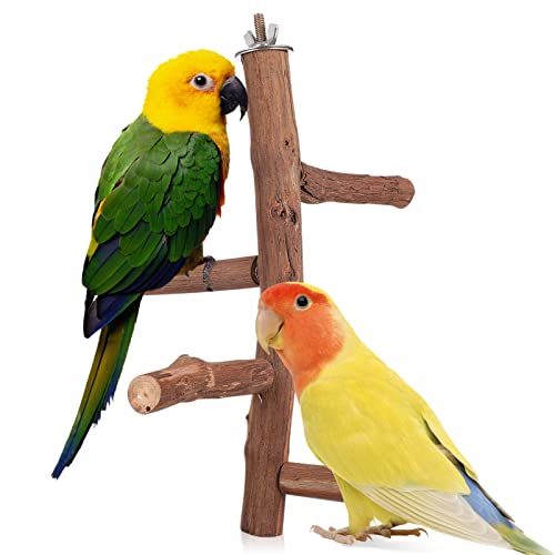 MISETA Vogelstange aus Holz: Papageienstange, stehender Stock, Vogelfederbrett, Wellensittichkäfig, mit Gemüseklammern für Papageien, Sittiche von MISETA