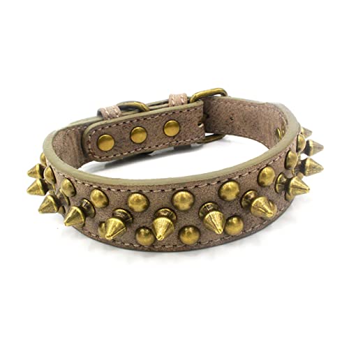 Nieten Choker Halsband Haustierbedarf Haustier Hundehalsband Nieten Hundehalsband Seil Mittel und Groß Grau Haustier Nieten Halsband (Farbe: Grau, Größe: Medium) von MISETA