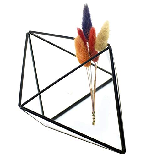 Schmuck-Aufbewahrungsbox Glas Terrarium Design Schmuckhalter klar facettiert Sukkulenten Luft Pflanze Pflanzkasten Topf Andenken Display (Farbe: Schwarz) von MISETA