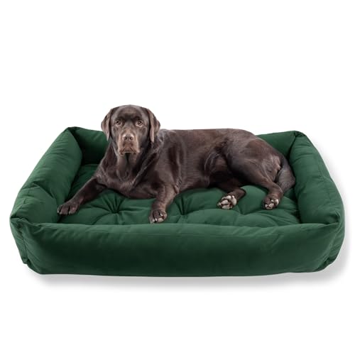 MISIOO Hundebett Große Hunde 120x80cm - Waschbares und Bequemes Hundebett für Hunde - Komfortables und Pflegeleichtes Dog Bed für Große Haustiere - Ideal für den Täglichen Gebrauch Pet Zen MISIOO Hundebett Große Hunde 120x80cm - Waschbares und Bequemes Hundebett für Hunde - Komfortables und Pflegeleichtes Dog Bed für Große Haustiere - Ideal für den Täglichen Gebrauch Pet Zen von MISIOO