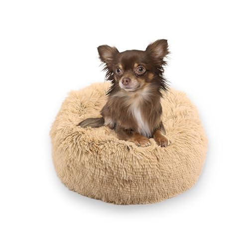 MISIOO Hundebett Kleine Hunde 40x40cm - Waschbares Hundebett für Hunde in Beige, Bequemes und Robustes - Dog Bed für Kleinere Rassen MISIOO Hundebett Kleine Hunde 40x40cm - Waschbares Hundebett für Hunde in Beige, Bequemes und Robustes - Dog Bed für Kleinere Rassen von MISIOO