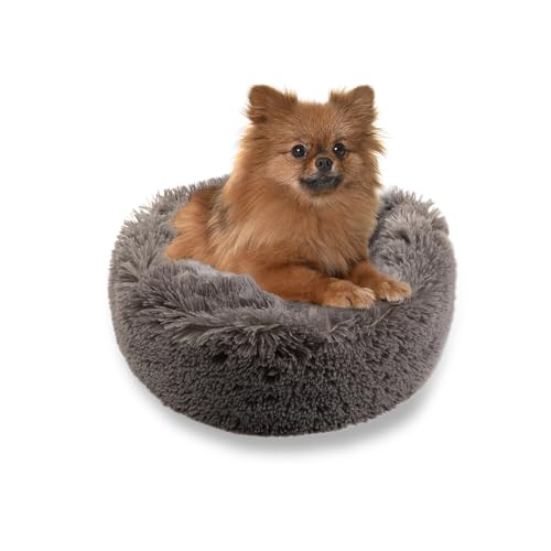 MISIOO Hundebett Kleine Hunde 50x50cm - Waschbares Hundebett für Hunde in Grau, Bequemes und Robustes - Dog Bed für Kleinere Rassen MISIOO Hundebett Kleine Hunde 50x50cm - Waschbares Hundebett für Hunde in Grau, Bequemes und Robustes - Dog Bed für Kleinere Rassen von MISIOO