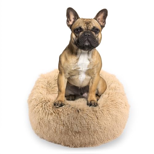 MISIOO Hundebett Kleine Hunde 60x60cm - Waschbares Hundebett in Beige, Bequemes und Robustes - Dog Bed für Kleinere Rassen von MISIOO