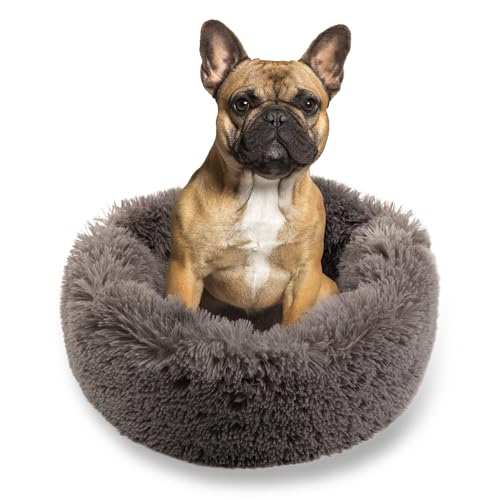 MISIOO Hundebett für Kleine Hunde - Grau, 60x60cm, Waschbar, Robust, Ideal für Kleinere Rassen MISIOO Hundebett für Kleine Hunde - Grau, 60x60cm, Waschbar, Robust, Ideal für Kleinere Rassen von MISIOO