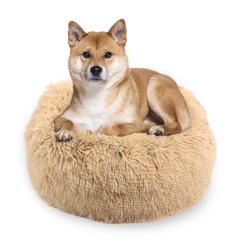 MISIOO Hundebett Kleine Hunde 70x70cm - Waschbares Hundebett in Beige, Bequemes und Robustes - Dog Bed für Kleinere Rassen MISIOO Hundebett Kleine Hunde 70x70cm - Waschbares Hundebett in Beige, Bequemes und Robustes - Dog Bed für Kleinere Rassen von MISIOO