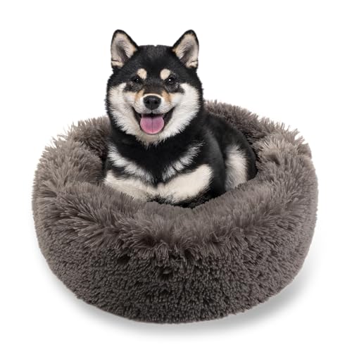 MISIOO Hundebett Kleine Hunde 70x70cm - Waschbares Hundebett für Hunde in Grau, Bequemes und Robustes - Dog Bed für Kleinere Rassen MISIOO Hundebett Kleine Hunde 70x70cm - Waschbares Hundebett für Hunde in Grau, Bequemes und Robustes - Dog Bed für Kleinere Rassen von MISIOO