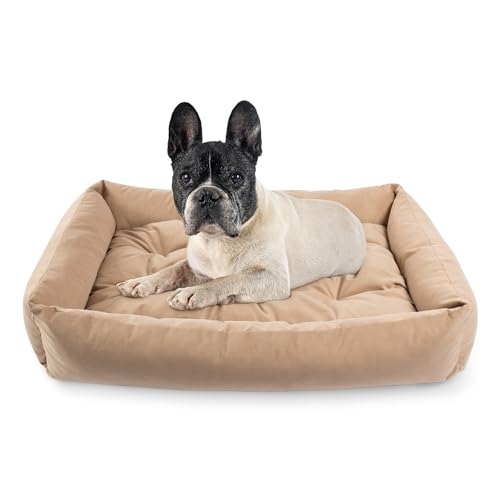 MISIOO Hundebett Kleine Hunde 75x55cm Beige - Waschbares und Bequemes Hundebett für Kleine Hunde - Robustes, Pflegeleichtes und Komfortables Dog Bed für den Täglichen Gebrauch Pet Zen MISIOO Hundebett Kleine Hunde 75x55cm Beige - Waschbares und Bequemes Hundebett für Kleine Hunde - Robustes, Pflegeleichtes und Komfortables Dog Bed für den Täglichen Gebrauch Pet Zen von MISIOO