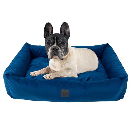 MISIOO Hundebett Kleine Hunde 75x55cm Blau - Waschbares und Bequemes Hundebett für Hunde - Komfortables und Pflegeleichtes Dog Bed für Kleine Haustiere - Ideal für den Täglichen Gebrauch Pet Zen von MISIOO