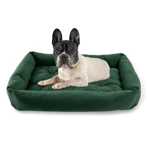 MISIOO Hundebett Kleine Hunde 75x55cm Grün - Waschbares und Bequemes Hundebett für Hunde - Komfortables und Pflegeleichtes Dog Bed für Kleine Haustiere - Ideal für den Täglichen Gebrauch Pet Zen MISIOO Hundebett Kleine Hunde 75x55cm Grün - Waschbares und Bequemes Hundebett für Hunde - Komfortables und Pflegeleichtes Dog Bed für Kleine Haustiere - Ideal für den Täglichen Gebrauch Pet Zen von MISIOO