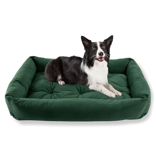 MISIOO Hundebett Mittelgroße Hunde 95x75cm Grün - Waschbares und Bequemes Hundebett für Hunde - Komfortables und Pflegeleichtes Dog Bed für Mittelgroße Haustiere - Ideal für den Täglichen Gebrauch von MISIOO