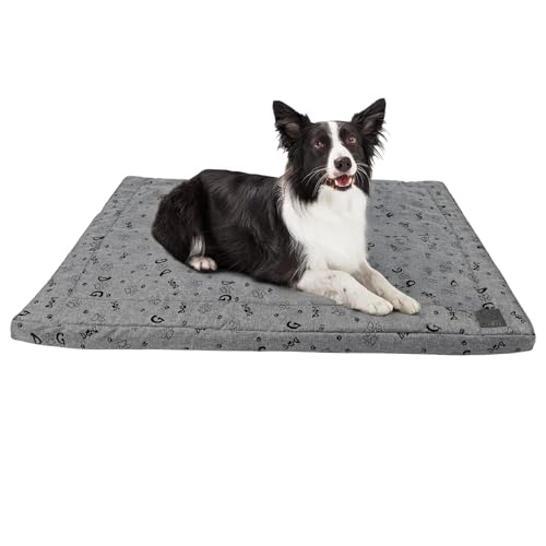 MISIOO Hundebett Waschbar 100 x 70 cm - Wasserdicht in Grau – Komfortables und Gemütliches Hundebett für Optimalen Schlafkomfort - Ideal für Alle Hunderassen - Schlafplätze & Möbel Pet Zen MISIOO Hundebett Waschbar 100 x 70 cm - Wasserdicht in Grau – Komfortables und Gemütliches Hundebett für Optimalen Schlafkomfort - Ideal für Alle Hunderassen - Schlafplätze & Möbel Pet Zen von MISIOO
