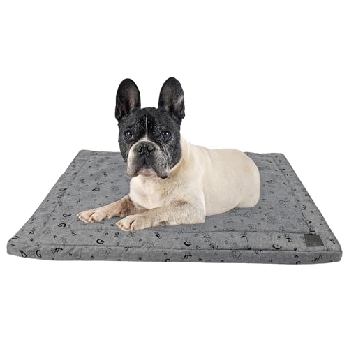 MISIOO Hundebett waschbar 70x50cm Grau - Hundematte für schlafplätze & möbel für Hunde - Komfortable und langlebige Dog Bed - Perfekt für kleine und mittelgroße Hunde MISIOO Hundebett waschbar 70x50cm Grau - Hundematte für schlafplätze & möbel für Hunde - Komfortable und langlebige Dog Bed - Perfekt für kleine und mittelgroße Hunde von MISIOO