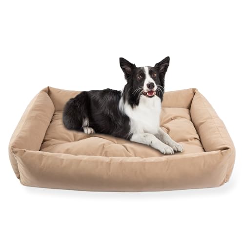 MISIOO Pet Zen Hundebett Mittelgroße Hunde 95x75 cm - Waschbares Hundebett - Bequemes Hundekissen Mittelgroße Hunde - Perfekt Für Mittlere Rassen MISIOO Pet Zen Hundebett Mittelgroße Hunde 95x75 cm - Waschbares Hundebett - Bequemes Hundekissen Mittelgroße Hunde - Perfekt Für Mittlere Rassen von MISIOO