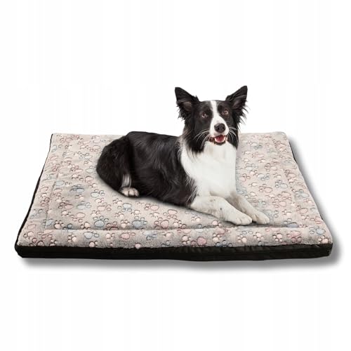 MISIOO Pet Zen - Hundebett Waschbar 100 x 70 cm - Dog Bed für Hunde - Robuste und Pflegeleichte Hundematte für den Alltag in Innenräumen MISIOO Pet Zen - Hundebett Waschbar 100 x 70 cm - Dog Bed für Hunde - Robuste und Pflegeleichte Hundematte für den Alltag in Innenräumen von MISIOO