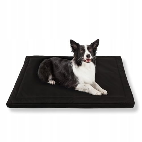 MISIOO Pet Zen - Hundebett Waschbar 100 x 70 cm - Dog Bed für Hunde - Robuste und Pflegeleichte Hundematte für den Alltag in Innenräumen MISIOO Pet Zen - Hundebett Waschbar 100 x 70 cm - Dog Bed für Hunde - Robuste und Pflegeleichte Hundematte für den Alltag in Innenräumen von MISIOO