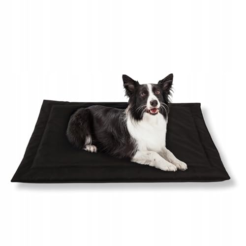MISIOO Pet Zen - Hundebett Waschbar 100 x 70 cm - Dog Bed für Hunde - Robuste und Pflegeleichte Hundematte für den Alltag in Innenräumen MISIOO Pet Zen - Hundebett Waschbar 100 x 70 cm - Dog Bed für Hunde - Robuste und Pflegeleichte Hundematte für den Alltag in Innenräumen von MISIOO