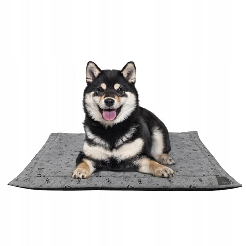 MISIOO Pet Zen - Hundebett Waschbar 100 x 70 cm - Dog Bed für Hunde - Robuste und Pflegeleichte Hundematte für den Alltag in Innenräumen MISIOO Pet Zen - Hundebett Waschbar 100 x 70 cm - Dog Bed für Hunde - Robuste und Pflegeleichte Hundematte für den Alltag in Innenräumen von MISIOO