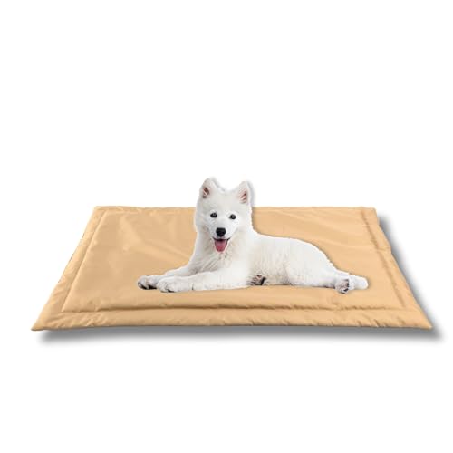 MISIOO Pet Zen - Hundebett Waschbar 100 x 70 cm - Dog Bed für Hunde - Robuste und Pflegeleichte Hundematte für den Alltag in Innenräumen MISIOO Pet Zen - Hundebett Waschbar 100 x 70 cm - Dog Bed für Hunde - Robuste und Pflegeleichte Hundematte für den Alltag in Innenräumen von MISIOO