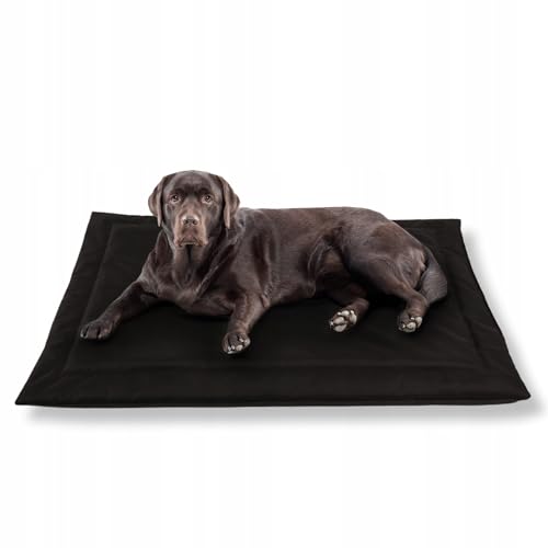 MISIOO Pet Zen - Hundebett Waschbar 120 x 80 cm - Dog Bed für Hunde - Robuste und Pflegeleichte Hundematte für den Alltag in Innenräumen MISIOO Pet Zen - Hundebett Waschbar 120 x 80 cm - Dog Bed für Hunde - Robuste und Pflegeleichte Hundematte für den Alltag in Innenräumen von MISIOO