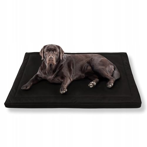 MISIOO Pet Zen - Hundebett Waschbar 120 x 80 cm - Dog Bed für Hunde - Robuste und Pflegeleichte Hundematte für den Alltag in Innenräumen von MISIOO