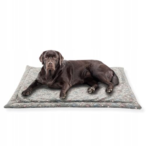 MISIOO Pet Zen - Hundebett Waschbar 120 x 80 cm - Dog Bed für Hunde - Robuste und Pflegeleichte Hundematte für den Alltag in Innenräumen MISIOO Pet Zen - Hundebett Waschbar 120 x 80 cm - Dog Bed für Hunde - Robuste und Pflegeleichte Hundematte für den Alltag in Innenräumen von MISIOO