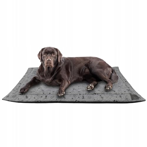 MISIOO Pet Zen - Hundebett Waschbar 120 x 80 cm - Dog Bed für Hunde - Robuste und Pflegeleichte Hundematte für den Alltag in Innenräumen MISIOO Pet Zen - Hundebett Waschbar 120 x 80 cm - Dog Bed für Hunde - Robuste und Pflegeleichte Hundematte für den Alltag in Innenräumen von MISIOO