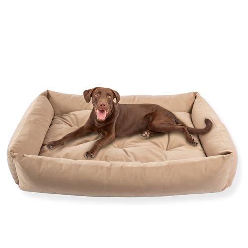 MISIOO Pet Zen Hundebett Waschbar 120x80 cm - Hundekorb Grosse Hunde - Komfortables Hunde Bett für Große Rassen, Waschbare Hundematte für sauberes und gemütliches Schlafen MISIOO Pet Zen Hundebett Waschbar 120x80 cm - Hundekorb Grosse Hunde - Komfortables Hunde Bett für Große Rassen, Waschbare Hundematte für sauberes und gemütliches Schlafen von MISIOO