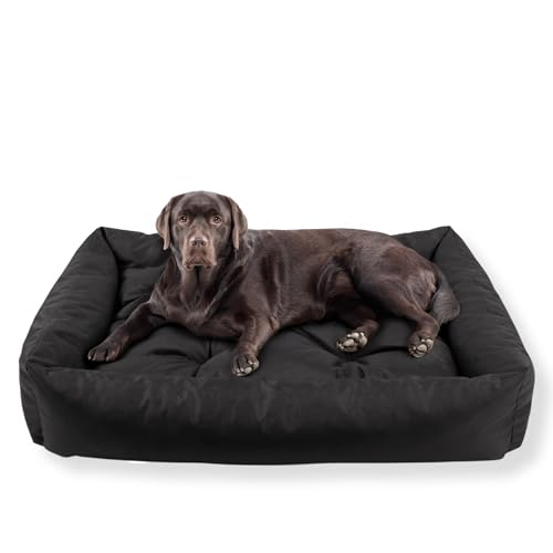 MISIOO Pet Zen Hundebett Waschbar 120x80 cm - Hundekorb Grosse Hunde - Komfortables Hunde Bett für Große Rassen, Waschbare Hundematte für sauberes und gemütliches Schlafen MISIOO Pet Zen Hundebett Waschbar 120x80 cm - Hundekorb Grosse Hunde - Komfortables Hunde Bett für Große Rassen, Waschbare Hundematte für sauberes und gemütliches Schlafen von MISIOO
