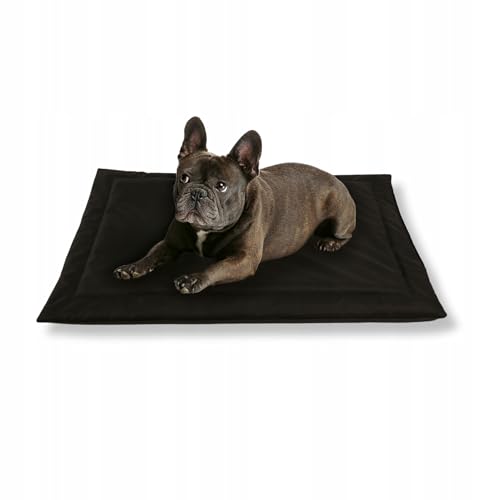 MISIOO Pet Zen - Hundebett Waschbar 70 x 50 cm - Dog Bed für Hunde - Robuste und Pflegeleichte Hundematte für den Alltag in Innenräumen von MISIOO