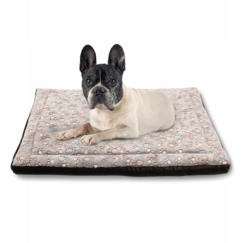 MISIOO Pet Zen - Hundebett Waschbar 70 x 50 cm - Dog Bed für Hunde - Robuste und Pflegeleichte Hundematte für den Alltag in Innenräumen MISIOO Pet Zen - Hundebett Waschbar 70 x 50 cm - Dog Bed für Hunde - Robuste und Pflegeleichte Hundematte für den Alltag in Innenräumen von MISIOO