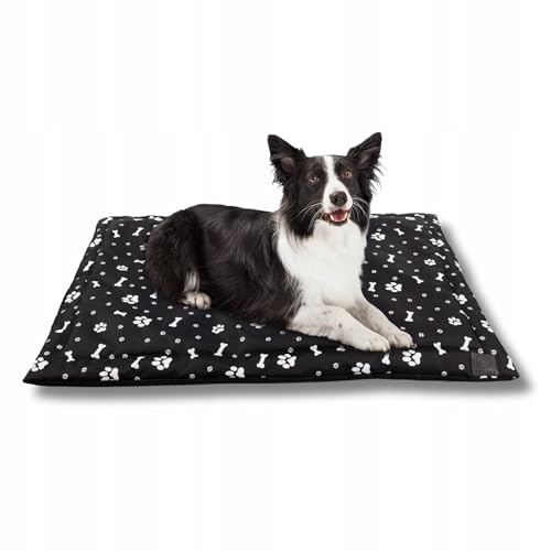 MISIOO Pet Zen - Hundebett Waschbar 70 x 50 cm - Dog Bed für Hunde - Robuste und Pflegeleichte Hundematte für den Alltag in Innenräumen MISIOO Pet Zen - Hundebett Waschbar 70 x 50 cm - Dog Bed für Hunde - Robuste und Pflegeleichte Hundematte für den Alltag in Innenräumen von MISIOO