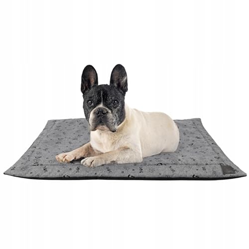 MISIOO Pet Zen - Hundebett Waschbar 70 x 50 cm - Dog Bed für Hunde - Robuste und Pflegeleichte Hundematte für den Alltag in Innenräumen MISIOO Pet Zen - Hundebett Waschbar 70 x 50 cm - Dog Bed für Hunde - Robuste und Pflegeleichte Hundematte für den Alltag in Innenräumen von MISIOO