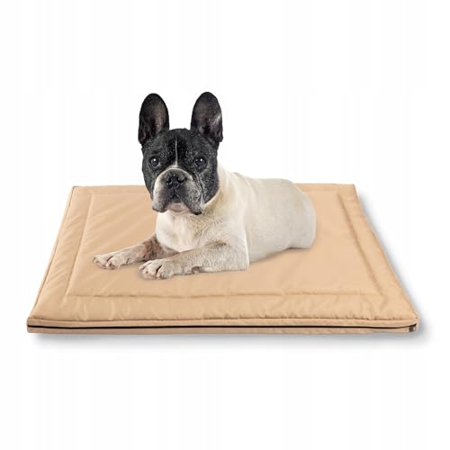 MISIOO Pet Zen - Hundebett Waschbar 70 x 50 cm - Dog Bed für Hunde - Robuste und Pflegeleichte Hundematte für den Alltag in Innenräumen von MISIOO