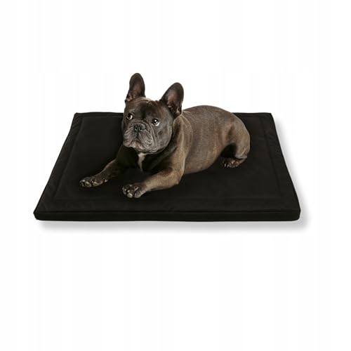 MISIOO Pet Zen - Hundebett Waschbar 70 x 50 cm - Dog Bed für Hunde - Robuste und Pflegeleichte Hundematte für den Alltag in Innenräumen MISIOO Pet Zen - Hundebett Waschbar 70 x 50 cm - Dog Bed für Hunde - Robuste und Pflegeleichte Hundematte für den Alltag in Innenräumen von MISIOO
