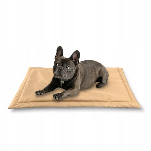 MISIOO Pet Zen - Hundebett Waschbar 70 x 50 cm - Dog Bed für Hunde - Robuste und Pflegeleichte Hundematte für den Alltag in Innenräumen MISIOO Pet Zen - Hundebett Waschbar 70 x 50 cm - Dog Bed für Hunde - Robuste und Pflegeleichte Hundematte für den Alltag in Innenräumen von MISIOO